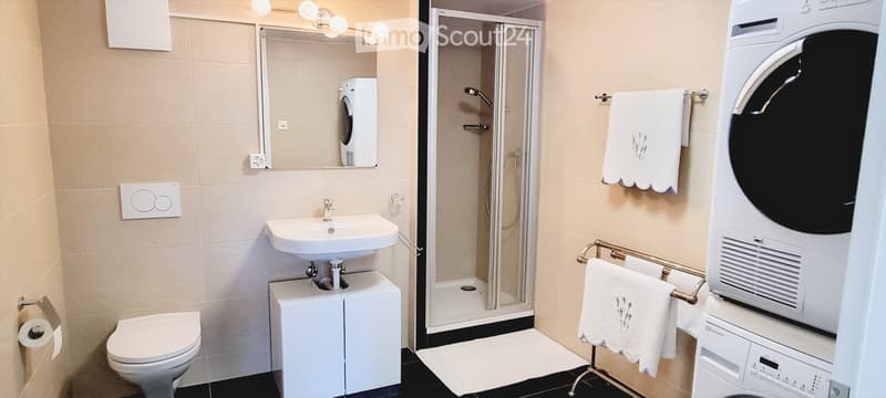 Modern bathroom with a white sink, toilet, mirror, and a glass-enclosed shower. A washing machine is positioned next to the shower, and towels are neatly hung on a rack.