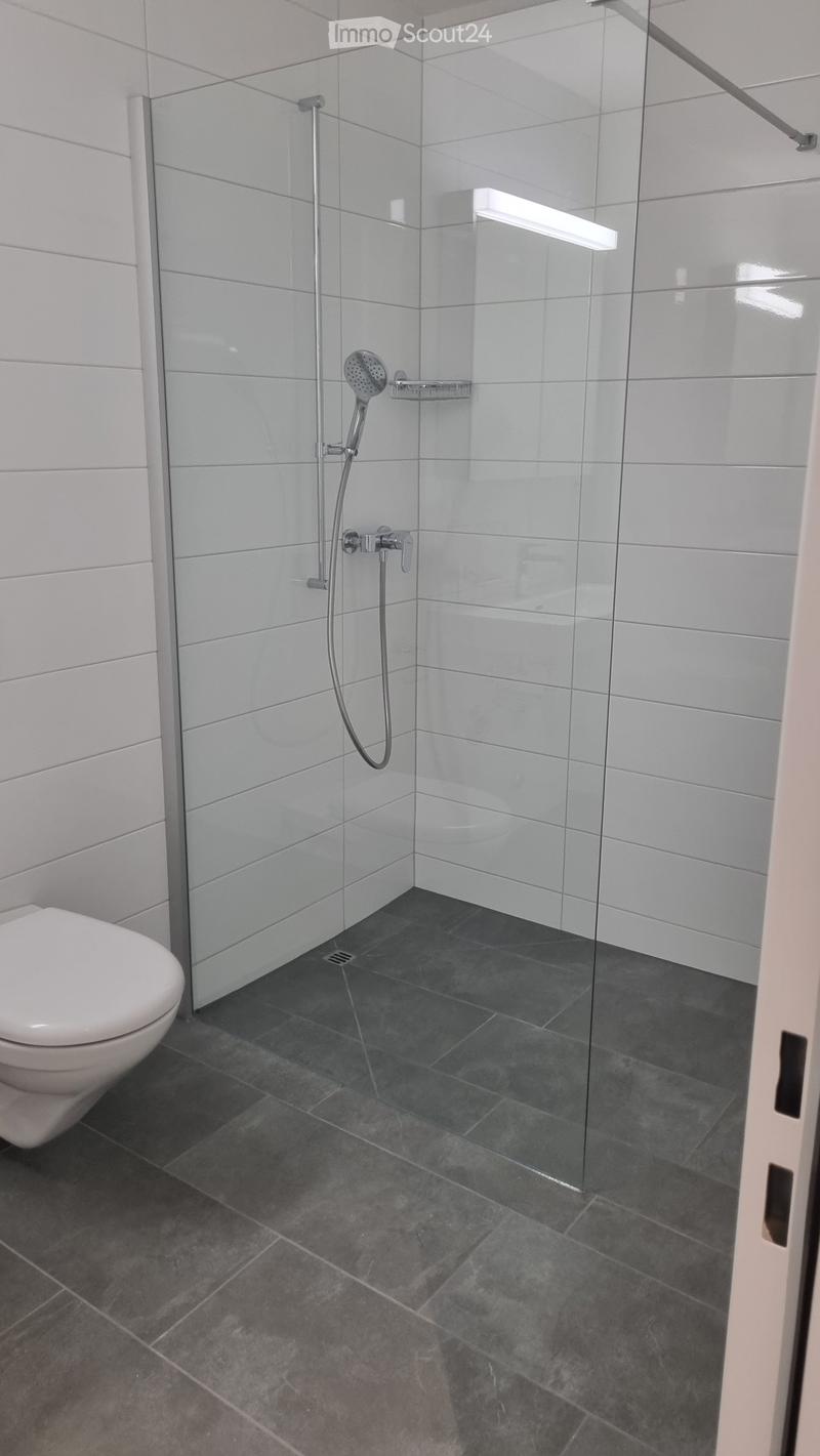 Modern bathroom with dark grey tiles, white toilet, and glass-enclosed shower with a handheld showerhead.