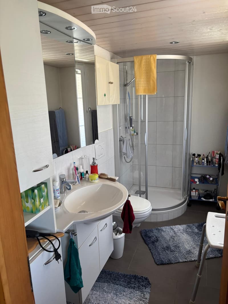 Modern bathroom with a sink, toilet, shower, and various toiletries. Features include a large mirror, wooden cabinets, and a towel hanging on the wall.