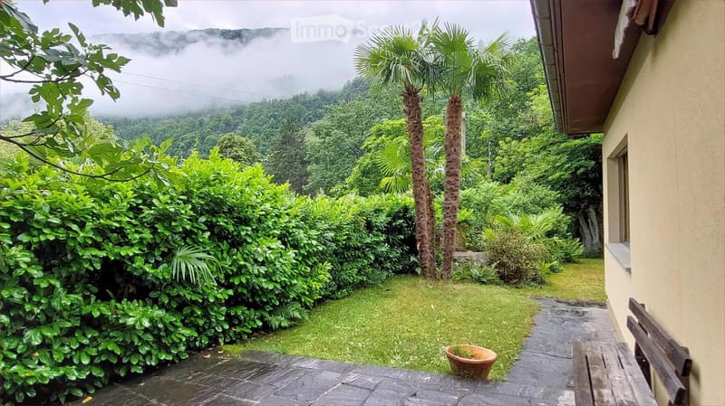 A lush garden area with palm trees, shrubs, and a stone pathway leading to a house, surrounded by a misty mountain landscape.