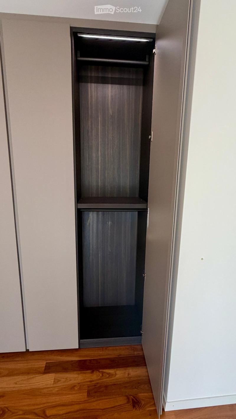 A narrow hallway with light-colored walls and wooden flooring, featuring a built-in closet with dark wooden doors and shelves.