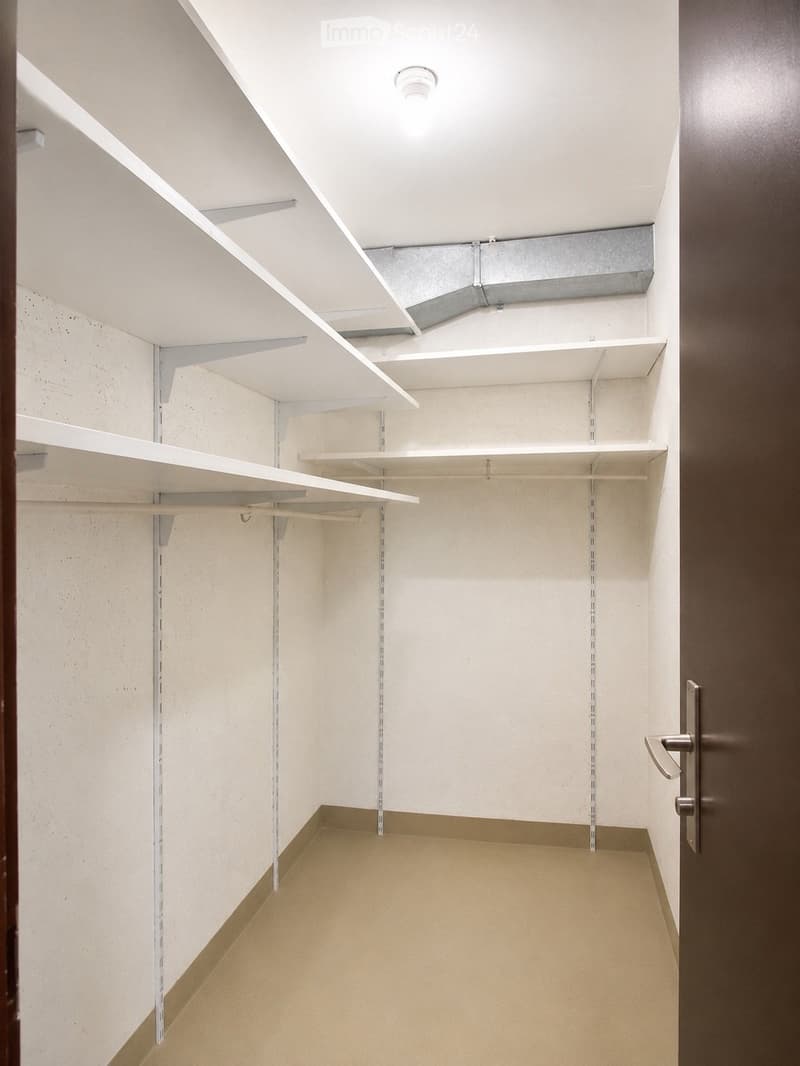 Empty closet with white shelves and beige carpeted floor. No furniture or items present.
