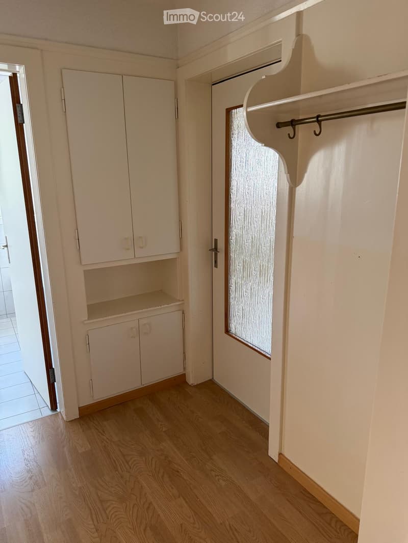 Empty room with light wooden flooring, white walls, built-in cabinets, and a frosted glass door leading to another area.