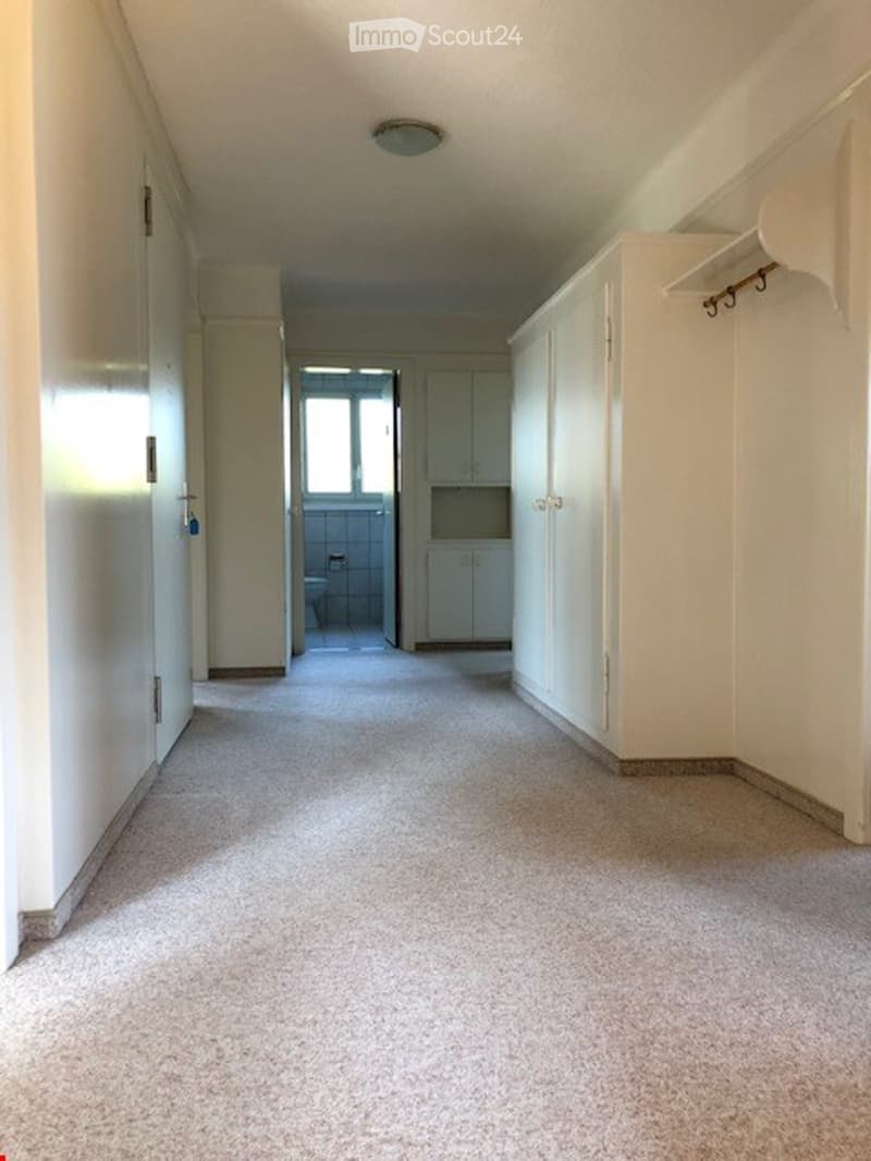 Empty hallway with white walls, carpeted floor, and built-in white cabinets on one side. A small bathroom is visible at the end of the hallway.