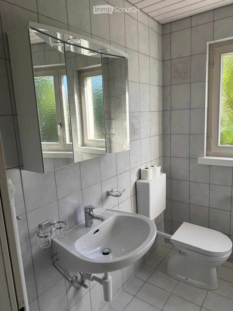 Modern bathroom with a white sink, chrome faucet, toilet, and large mirror. Grey tiled walls and floor, with two windows allowing natural light.