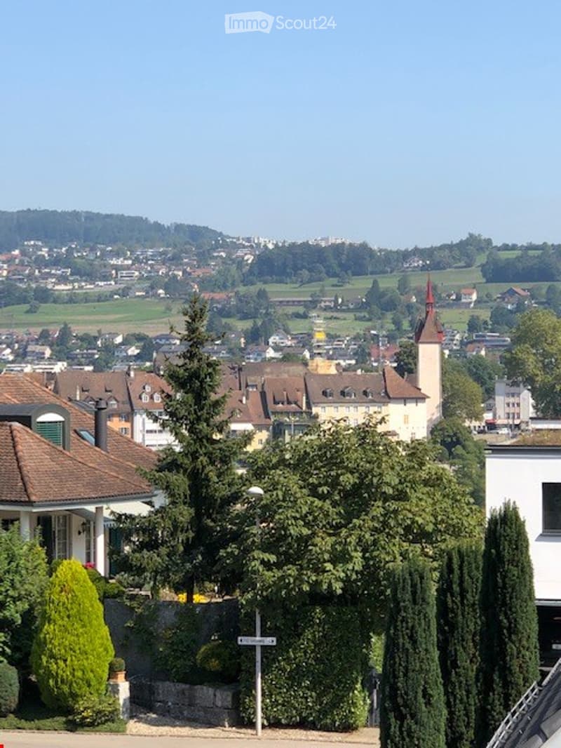 A panoramic view of a town with multiple buildings, trees, and a church tower visible in the distance under a clear blue sky.