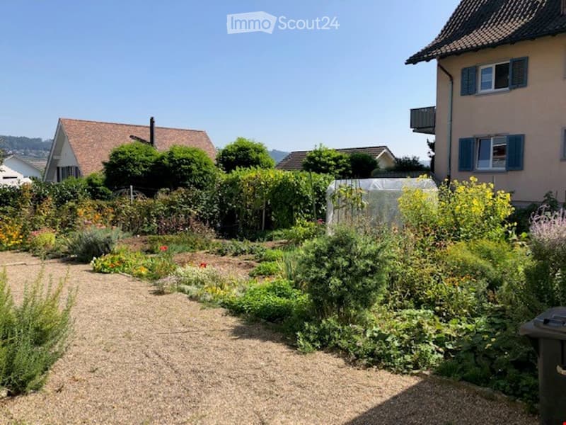 Well-maintained garden with various plants, flowers, and shrubs arranged in rows, surrounded by residential buildings.