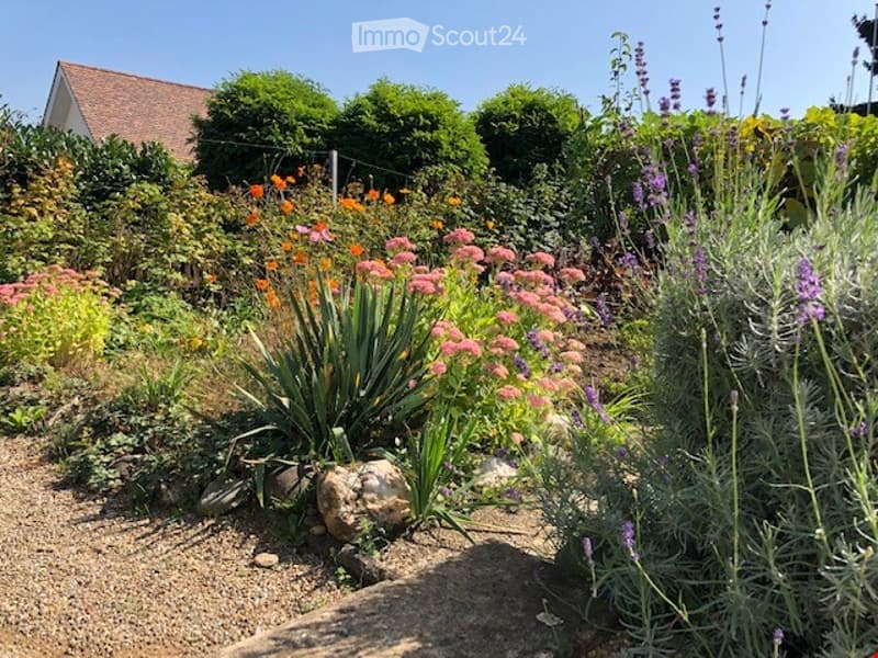 Well-maintained garden with a variety of colorful flowers, shrubs, and tall plants, including lavender and orange blooms, surrounded by gravel and rocks.