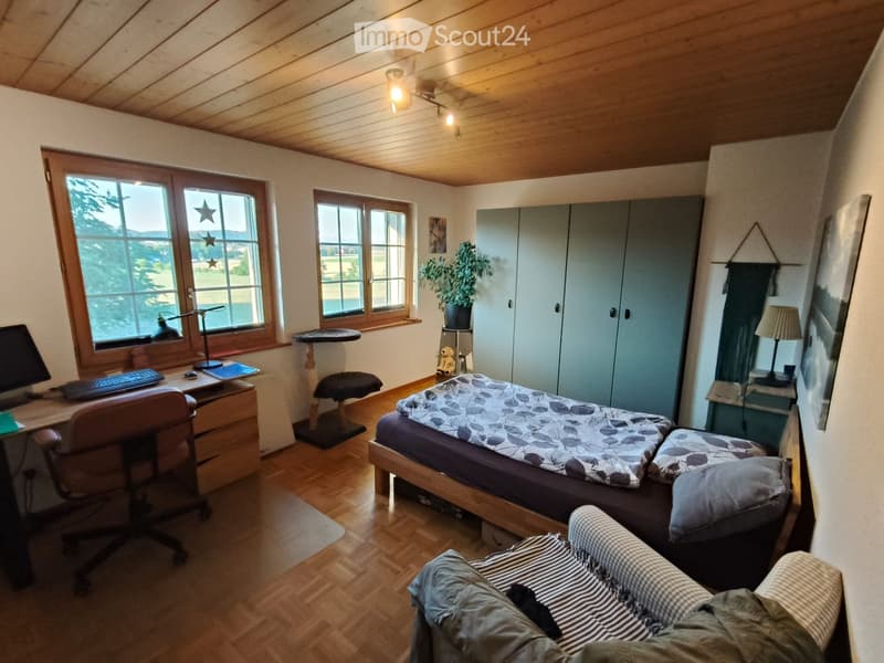 Cozy bedroom with wooden floors, a bed with patterned bedding, a desk with a computer, a cat tree, a small sofa, and a potted plant near the window.