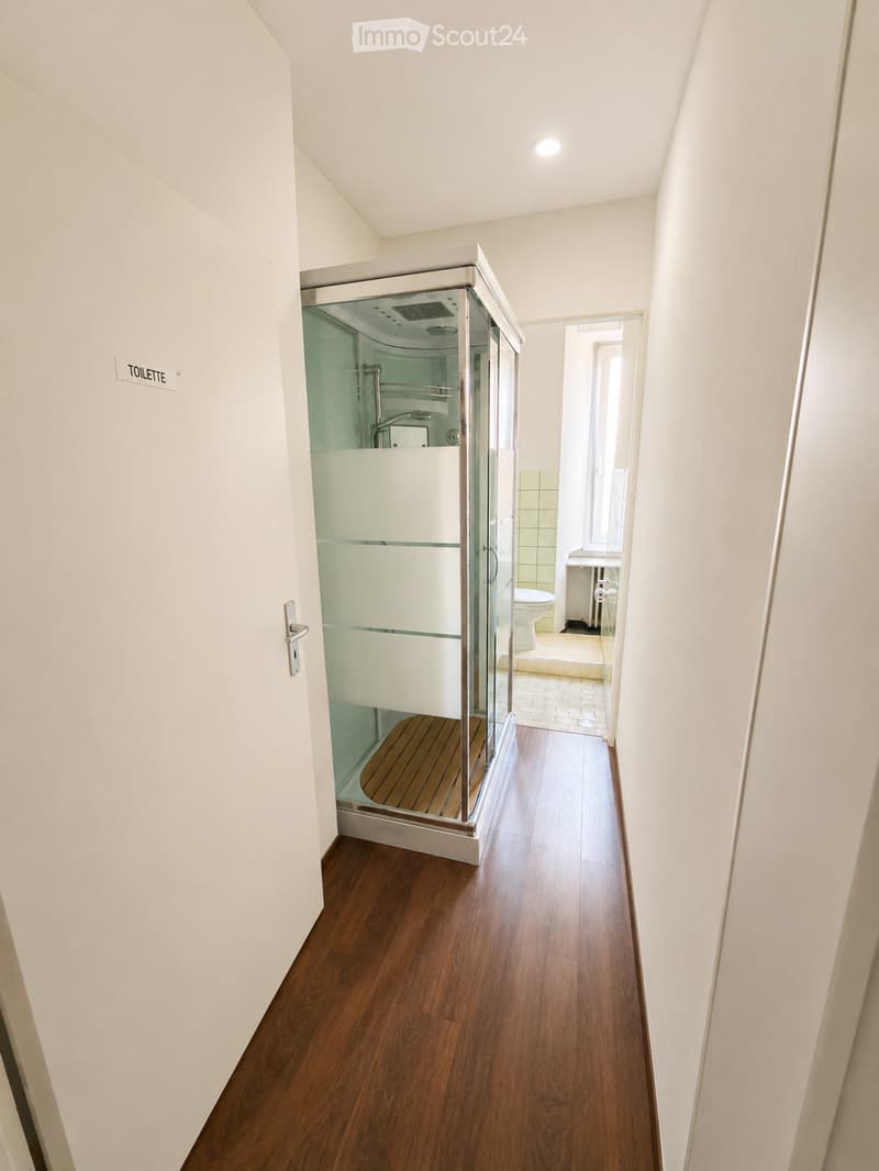 Corridor leading to a modern bathroom with a glass-enclosed shower and a toilet visible in the background.