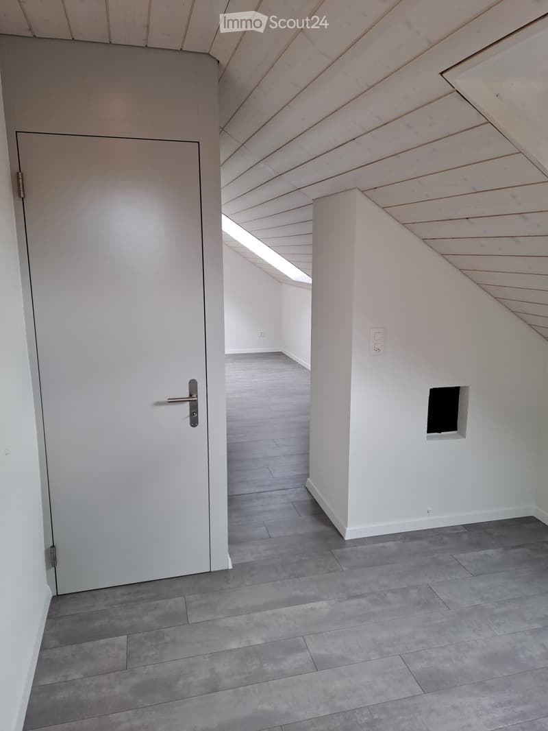 Renoviertes Doppeleinfamilienhaus an attraktiver Lage (22)