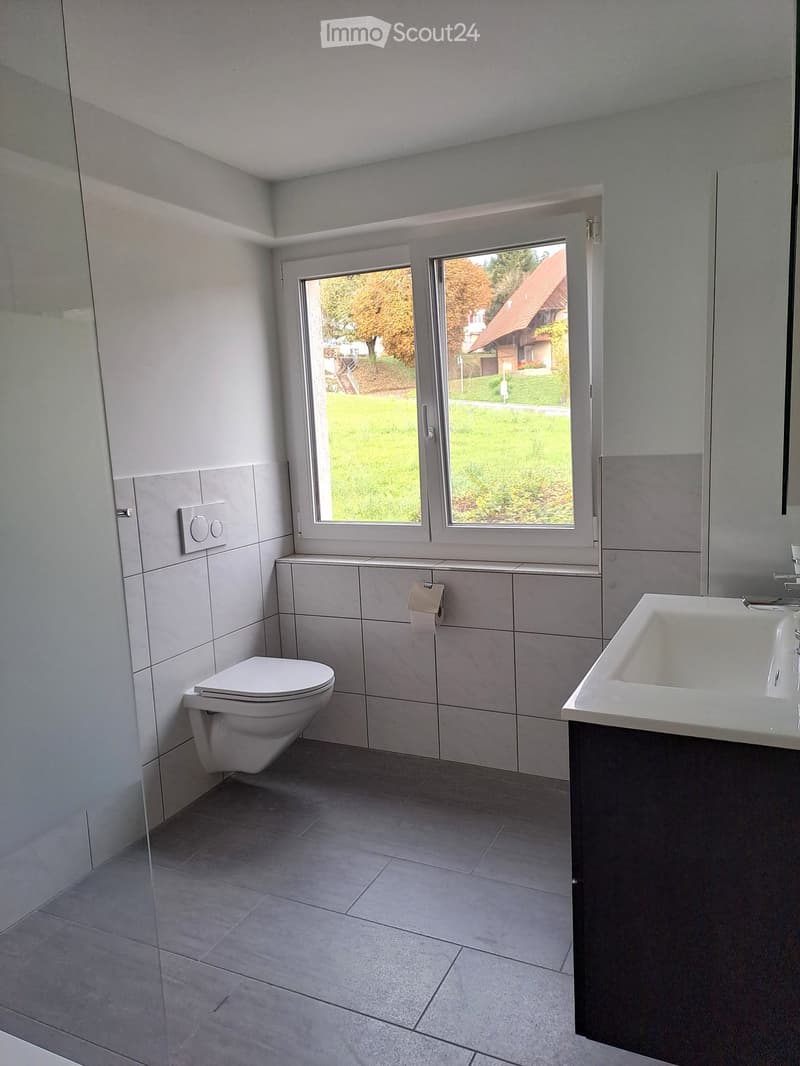 Renoviertes Doppeleinfamilienhaus an attraktiver Lage (19)