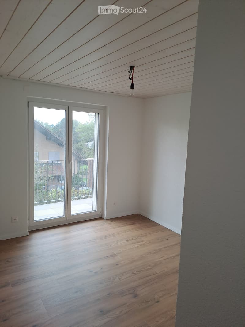 Renoviertes Doppeleinfamilienhaus an attraktiver Lage (18)