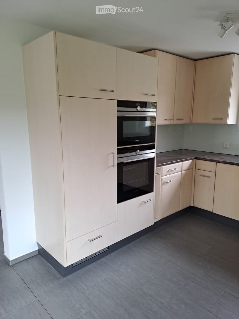 Renoviertes Doppeleinfamilienhaus an attraktiver Lage (10)