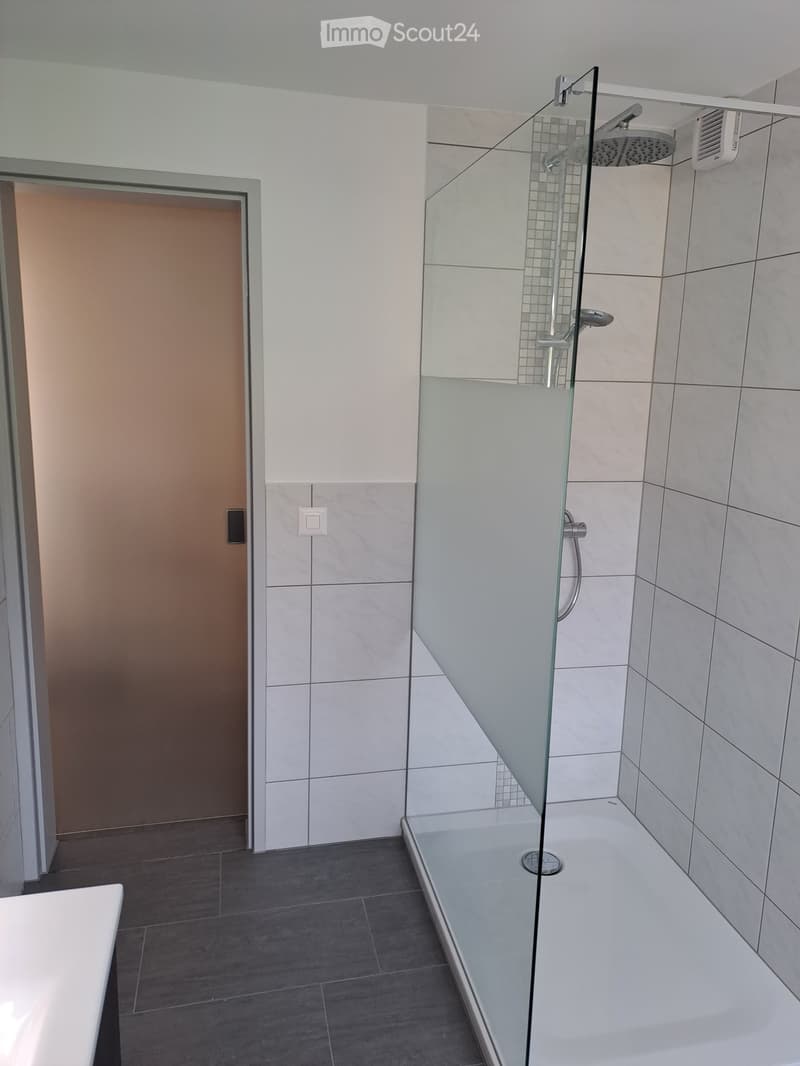 Renoviertes Doppeleinfamilienhaus an attraktiver Lage (21)