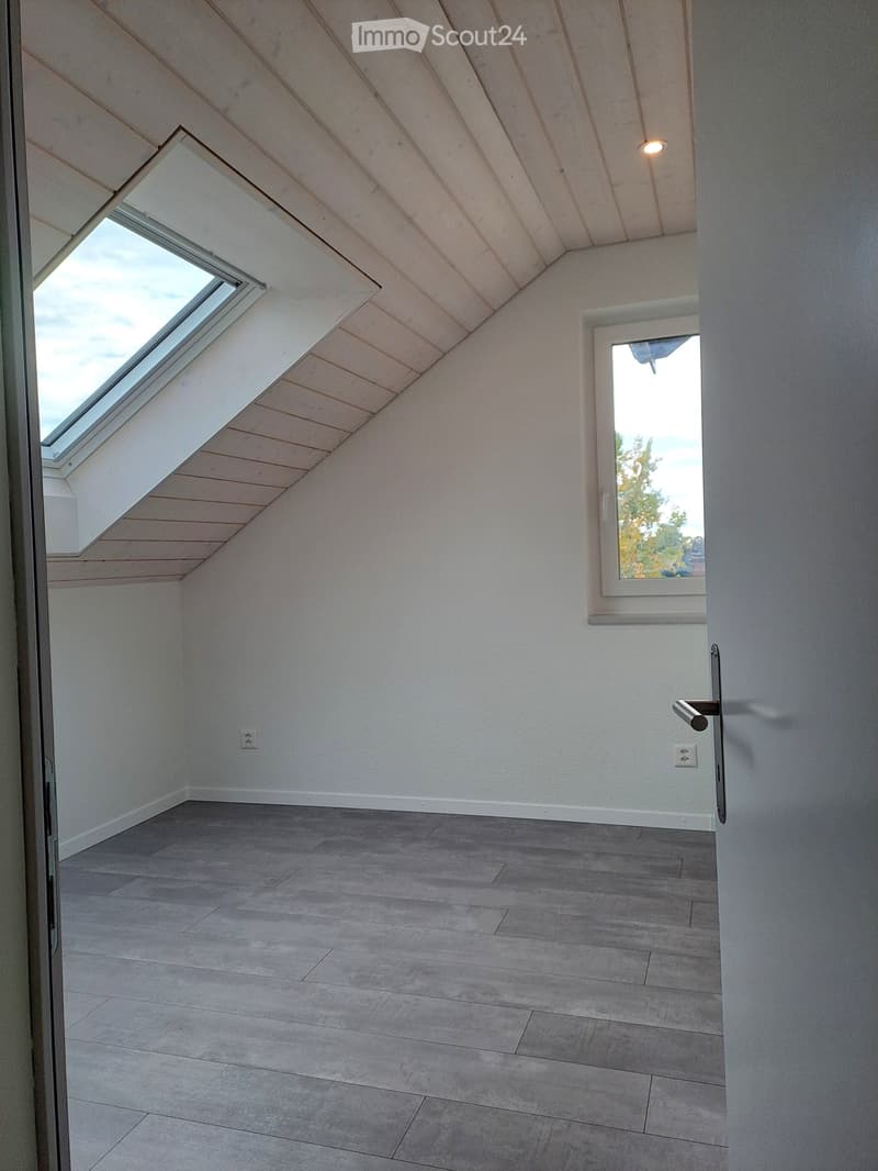 Renoviertes Doppeleinfamilienhaus an attraktiver Lage (23)