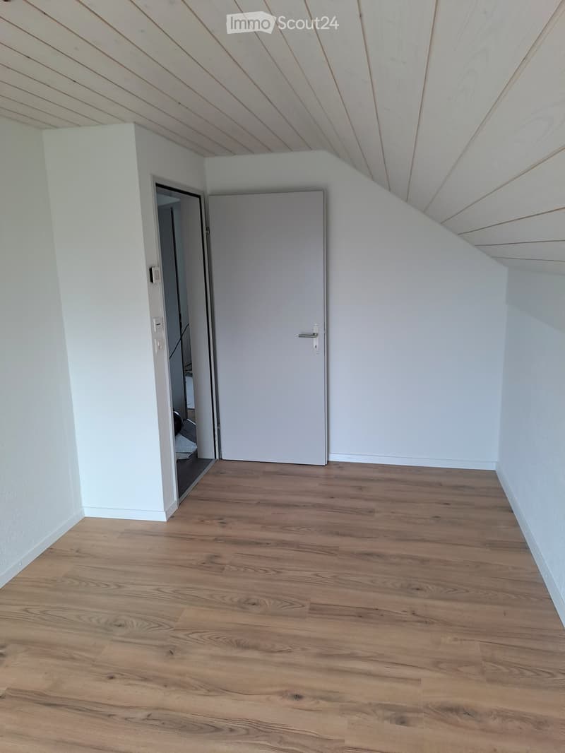 Renoviertes Doppeleinfamilienhaus an attraktiver Lage (14)