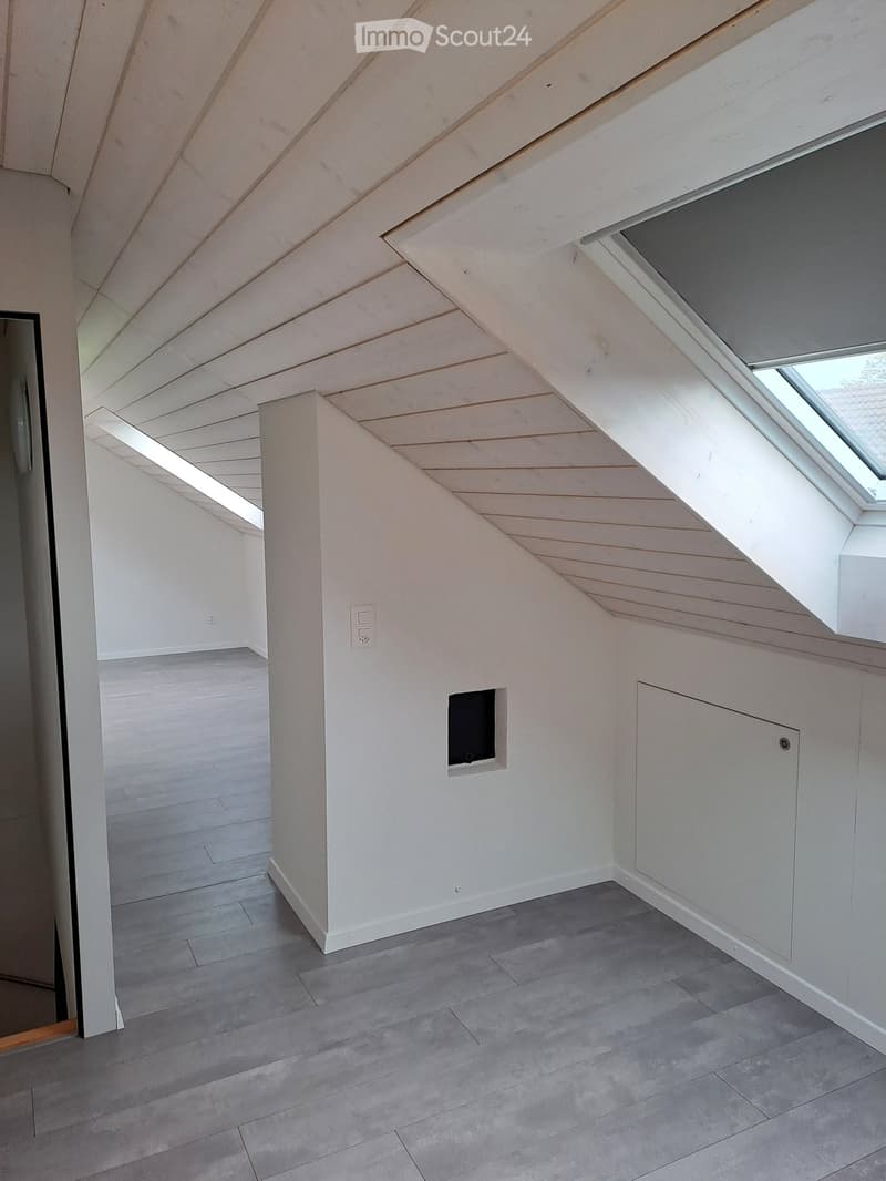 Renoviertes Doppeleinfamilienhaus an attraktiver Lage (24)