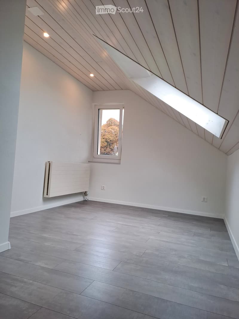 Renoviertes Doppeleinfamilienhaus an attraktiver Lage (25)