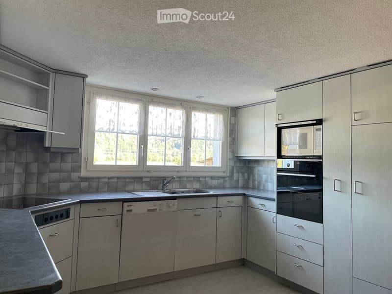 Modern kitchen with light grey cabinets, stainless steel appliances, and a large window offering a view of greenery.
