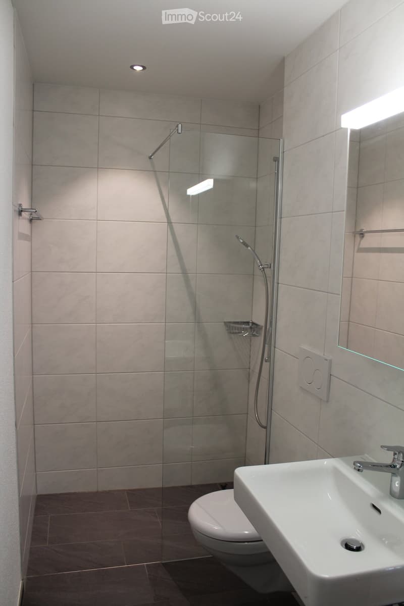 Modern bathroom with a white sink, toilet, and glass-enclosed shower area. Features tiled walls and floor, a handheld showerhead, and a built-in shelf in the shower.
