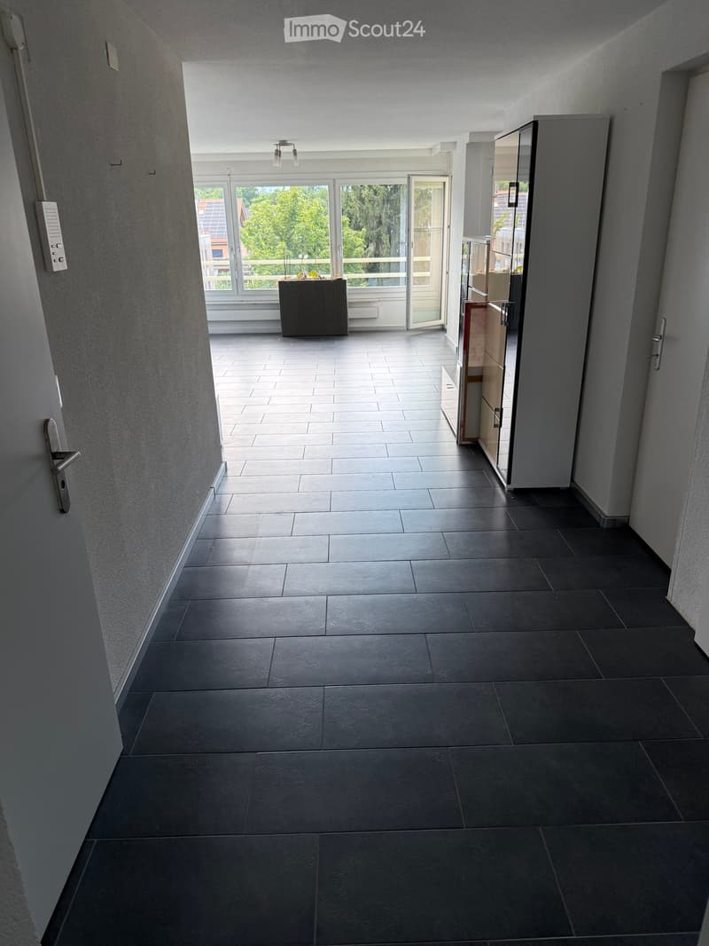 Modern hallway with dark tiled floor, grey walls, and a glass door leading to a balcony area with outdoor plants.