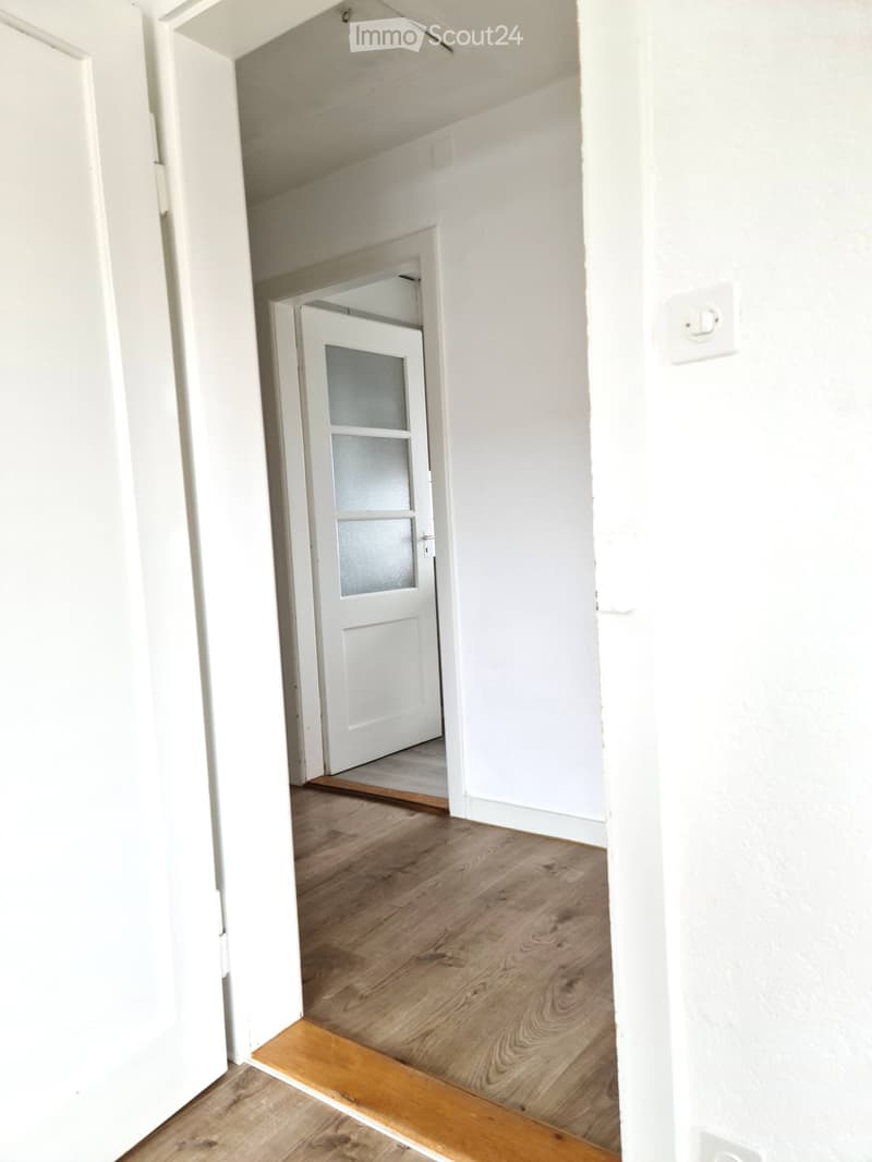 Empty hallway with light wooden flooring, white walls, and a white door with a frosted glass panel leading to another room.