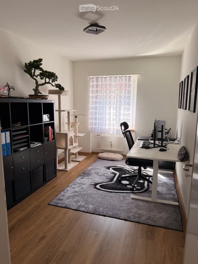 A well-lit room with a wooden floor, a large window with white curtains, a cat tree, a desk with a laptop, a chair, and a cabinet with books and files.