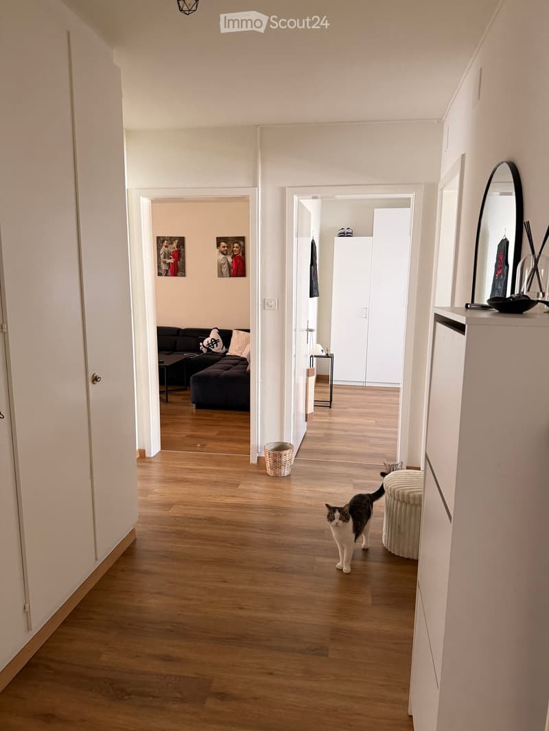 A well-lit hallway with wooden flooring, white walls, and several doors leading to different rooms. A cat is walking in the hallway, and there are decorative items on a shelf to the right.