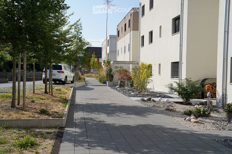 A paved pathway lined with trees and small landscaped areas, leading to a modern building with numbered apartments.