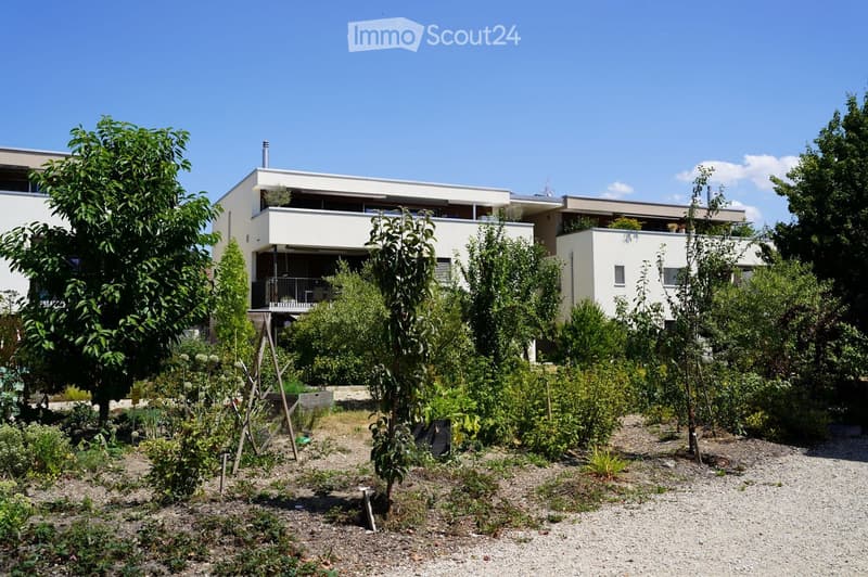Modern white house with multiple levels, surrounded by a lush garden with various plants and trees. The garden features gravel pathways and a raised garden bed area.