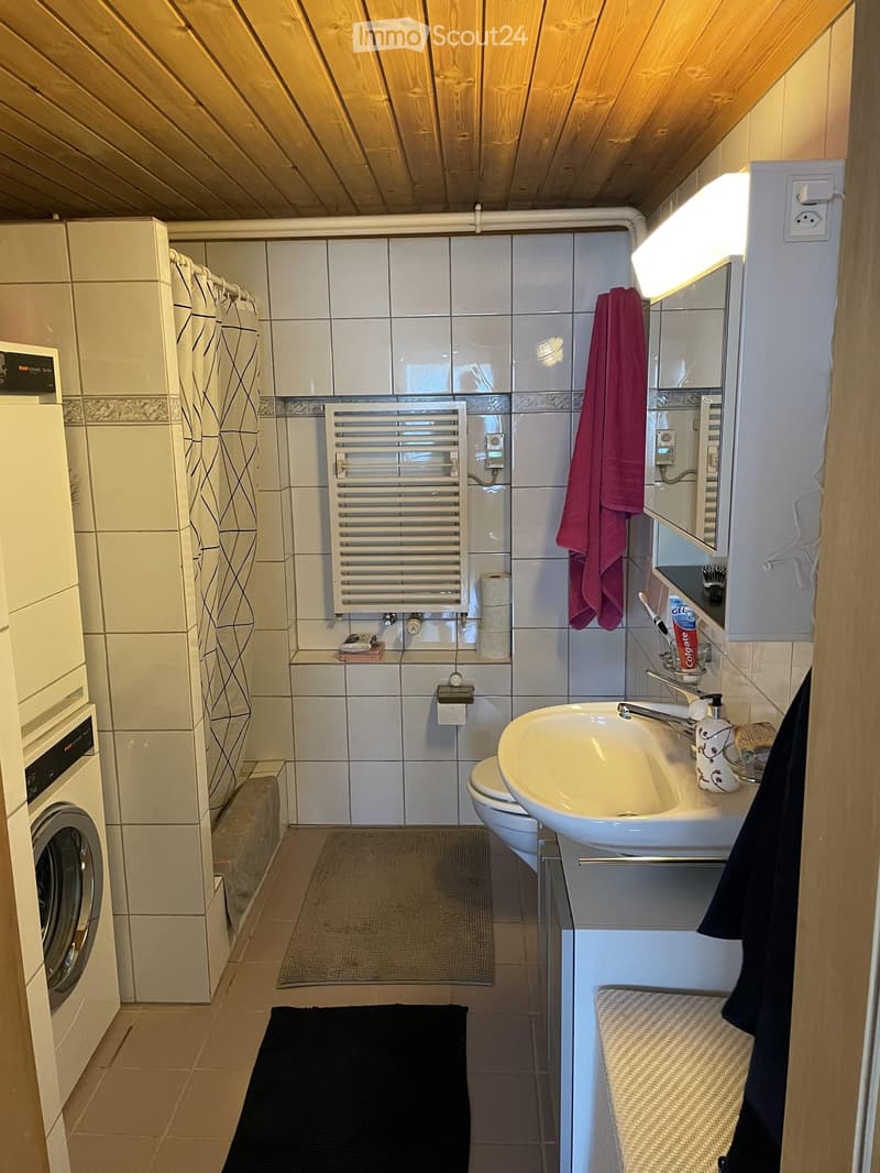 Compact bathroom with a sink, toilet, radiator, mirror, and washing machine. Includes a towel, toothbrush, toothpaste, toilet paper, and rugs.