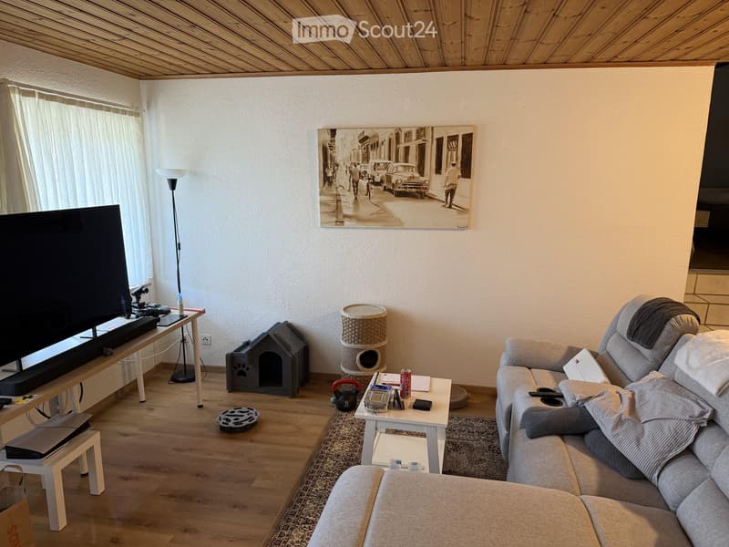 Living room with a grey sofa, coffee table, cat tree, cat house, and a large screen on a table. The room has wooden flooring and a large window with white curtains.