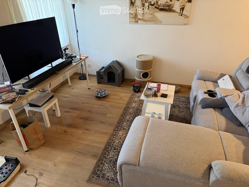 Modern living room with a grey sectional sofa, coffee table, cat tree, cat house, and a large television on a stand. The room features wooden flooring, a large window with white curtains, and a picture frame on the wall.