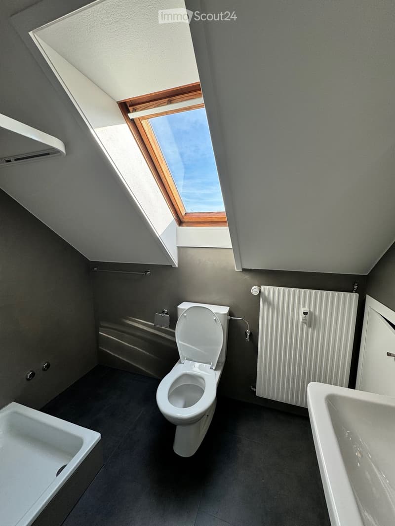 Modern bathroom with a toilet, bathtub, radiator, and skylight window providing natural light.