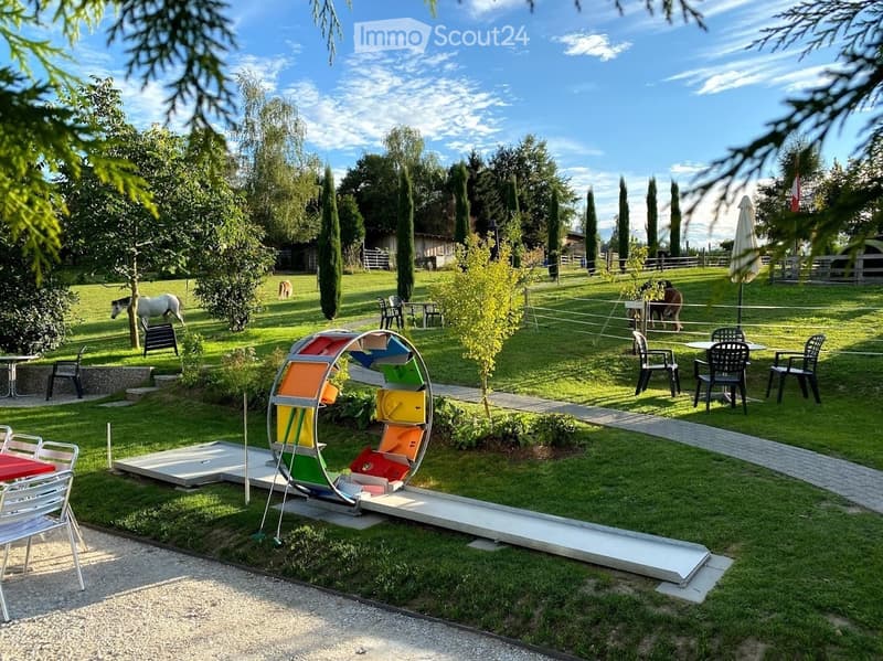 Outdoor area with lawn, scattered chairs and tables, a colorful play structure, and grazing horses in the background.