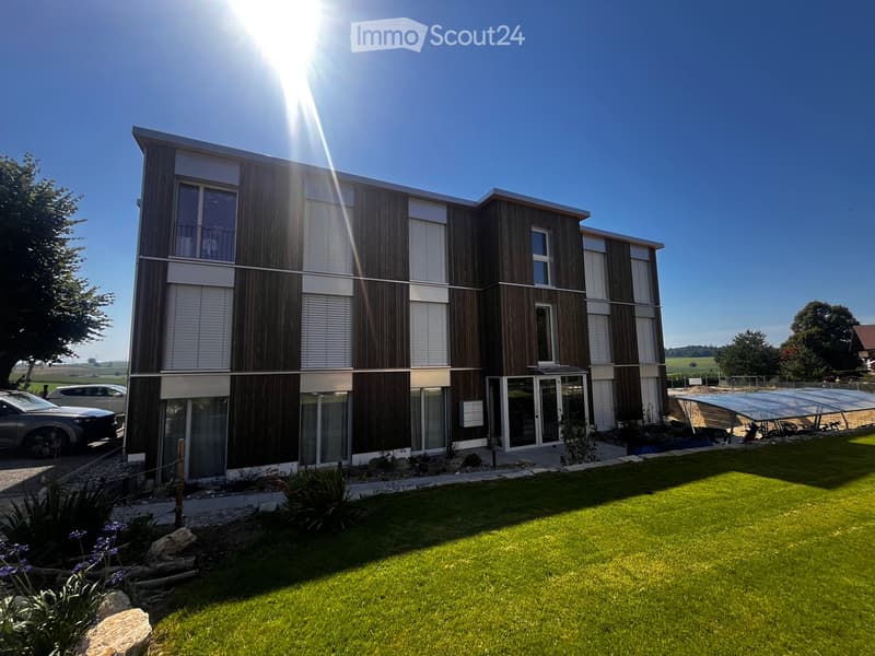 modern house, brown and white facade, garage, many large windows, green lawn, 2 cars parked