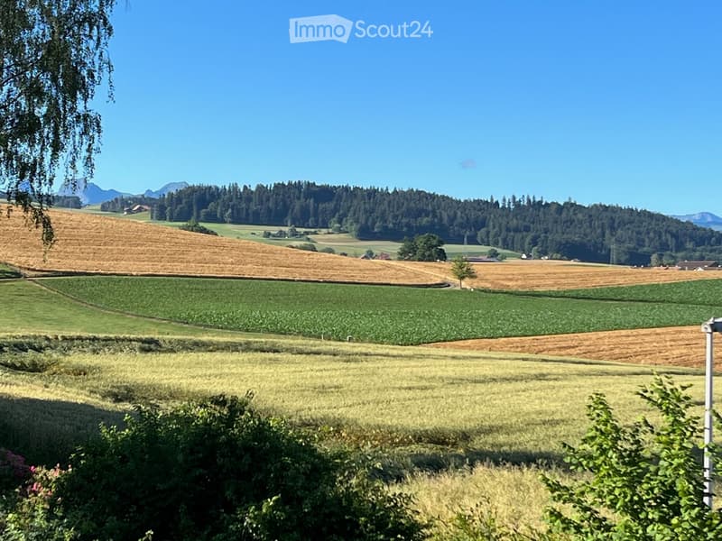 Fields with various crops, wooded hillsides, clear blue sky, distant mountains