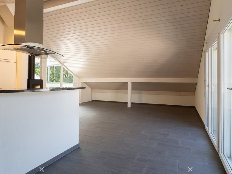 Modern, open-concept room with a dark wood floor, white walls, and a slanted wooden ceiling. Features a built-in fireplace with a glass canopy and a white counter.