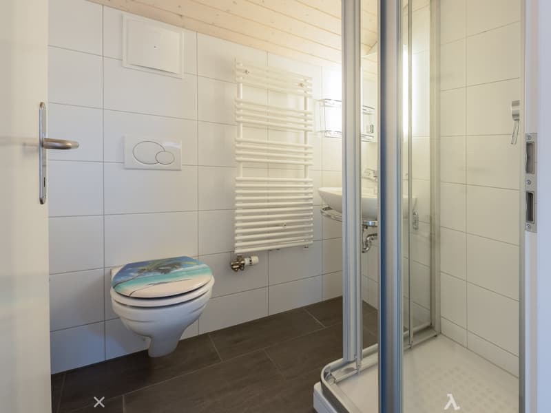 Modern bathroom with white tiled walls, a toilet with a beach-themed seat cover, a glass-enclosed shower, a sink, and a white radiator.
