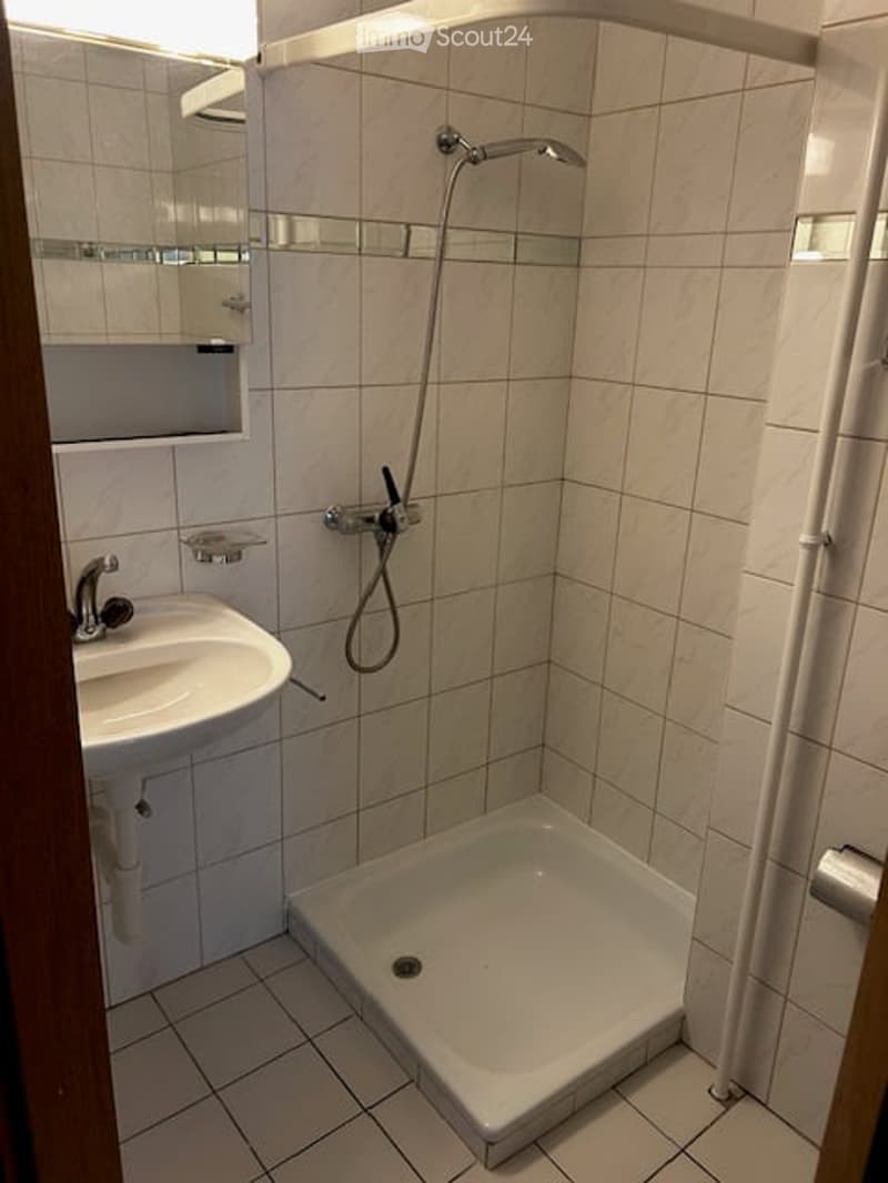Compact bathroom with white tiled walls and floor, featuring a sink with a faucet, a mirror above it, a shower with a handheld showerhead, and a toilet paper holder.