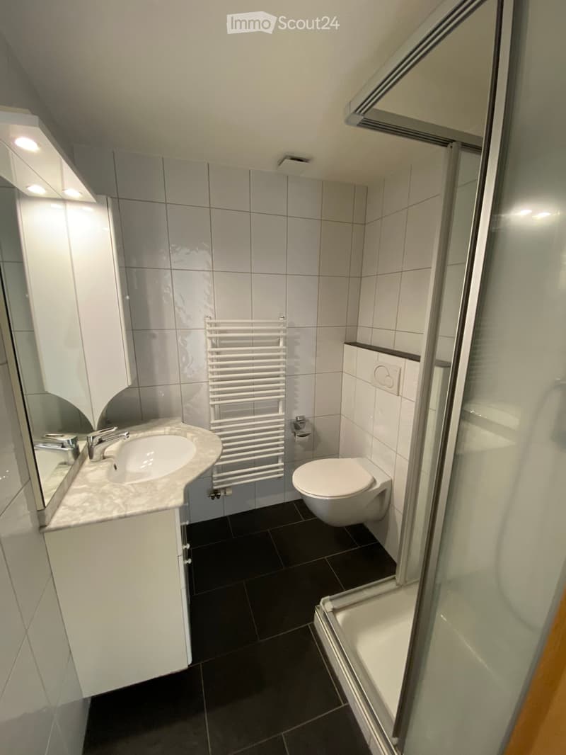 Modern bathroom with white tiles, black floor, sink with mirror, toilet, radiator, and glass-enclosed shower area.