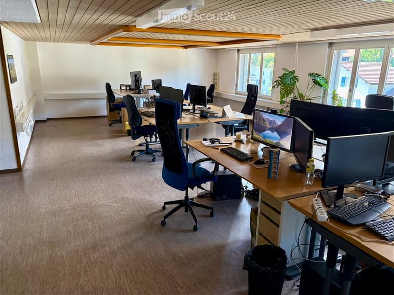 Office space with multiple desks, chairs, computers, keyboards, and a potted plant near the window.