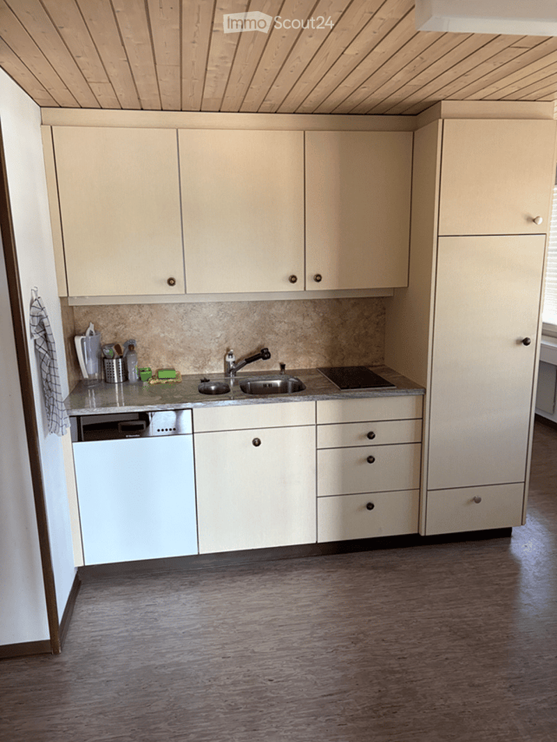 Modern kitchen with light-colored cabinets, a stainless steel sink, a dishwasher, and a countertop with a towel hanging on the side.