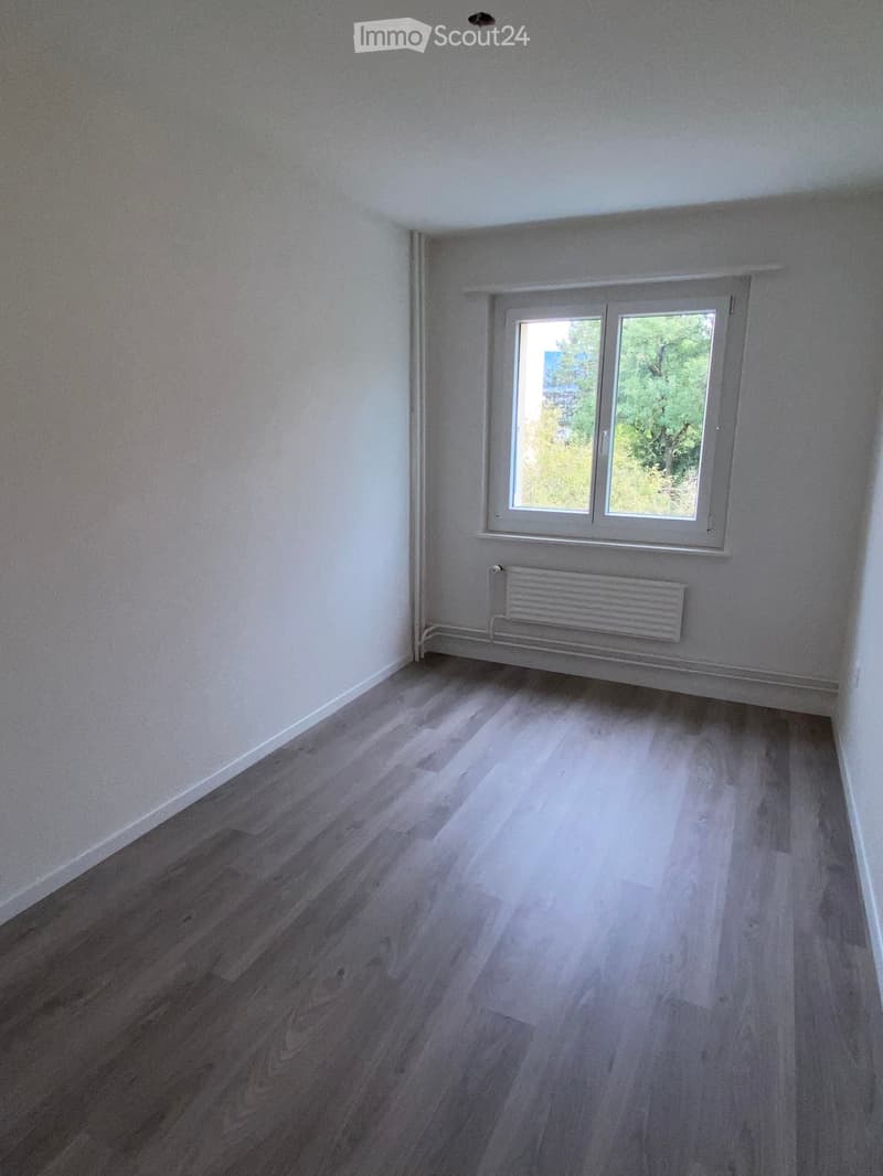 Empty room with light grey walls, wooden flooring, and a single window with white frame. A radiator is mounted below the window.