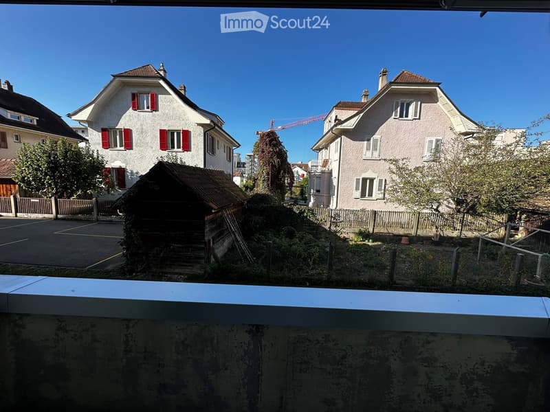 View from a balcony showing two residential houses with red shutters, a small wooden shed, and a fenced garden area.