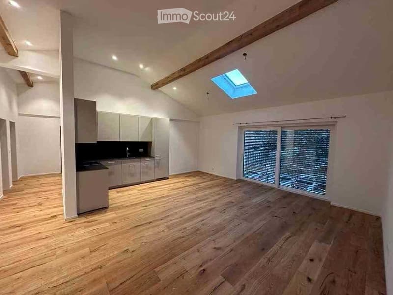 Open-plan space with wooden flooring, modern kitchen area with cabinets and sink, large window with blinds, and skylight in the ceiling.