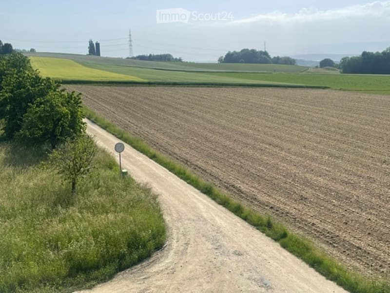 Rural landscape with a dirt road cutting through a plowed field, surrounded by green fields and trees in the distance.