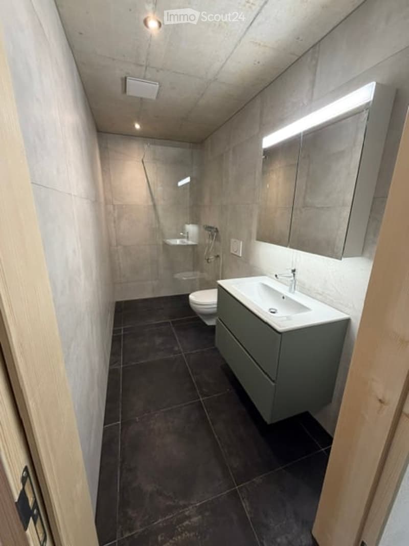 Modern bathroom with dark tiled floor, grey vanity, white sink, large mirror, and a glass-enclosed shower area.