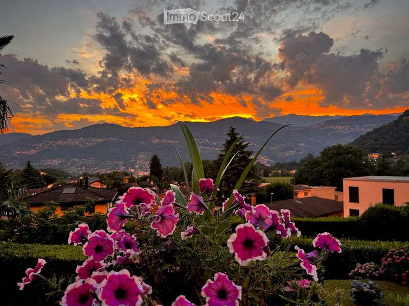 A garden with pink flowers in the foreground and a scenic view of a town and mountains at sunset.